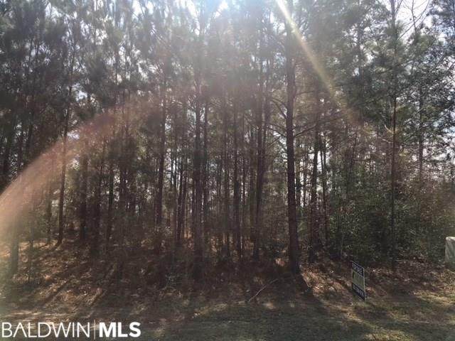 Lake Pointe Lane - Photo 1