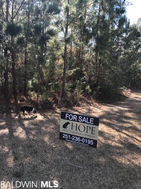 Lake Pointe Lane - Photo 1