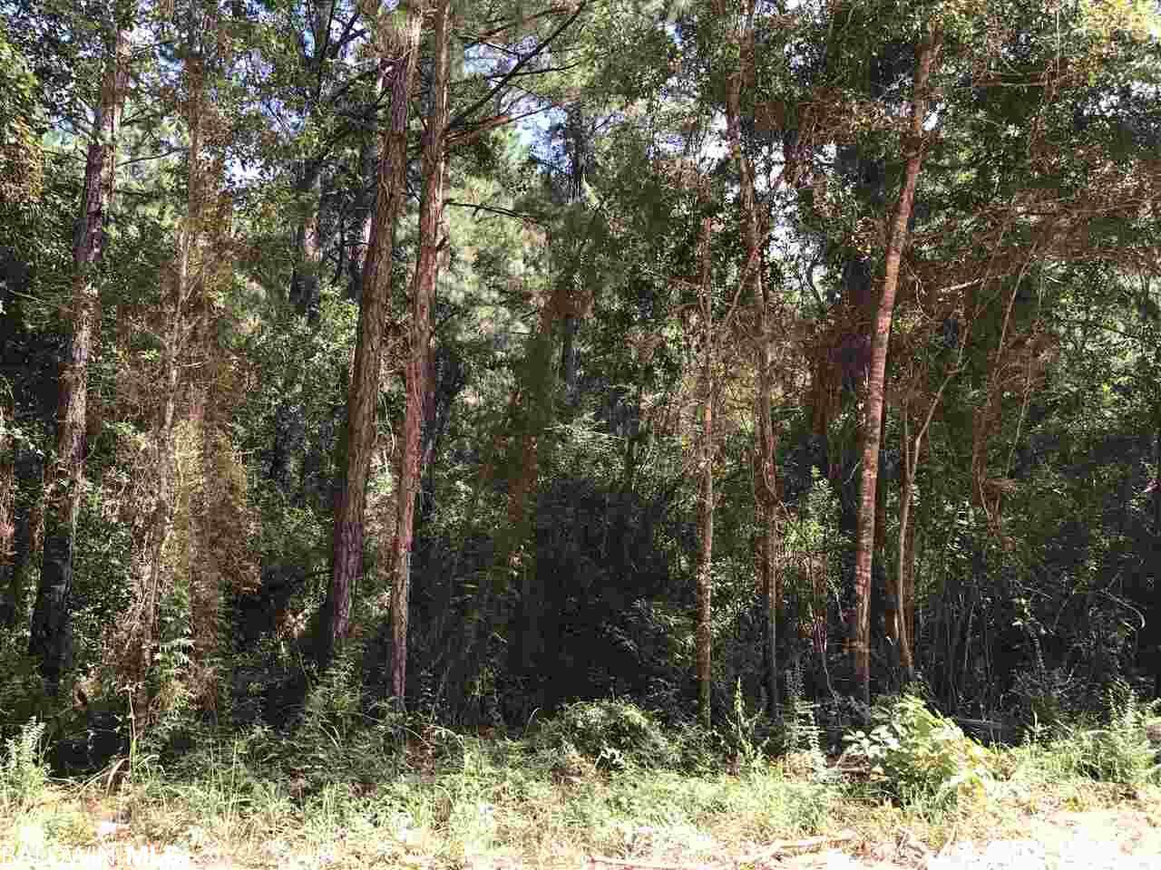 Brantley Lane - Photo 1