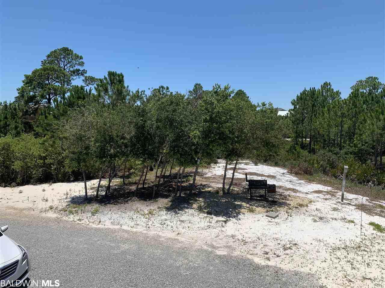 Lot 14 Palmetto Dr - Photo 1