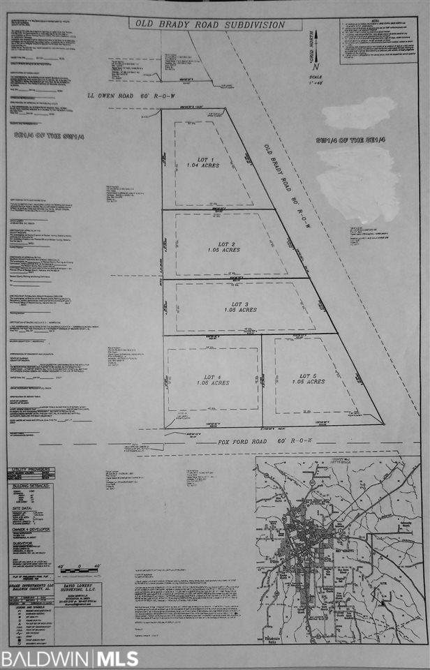 0 Old Brady Road - Photo 1
