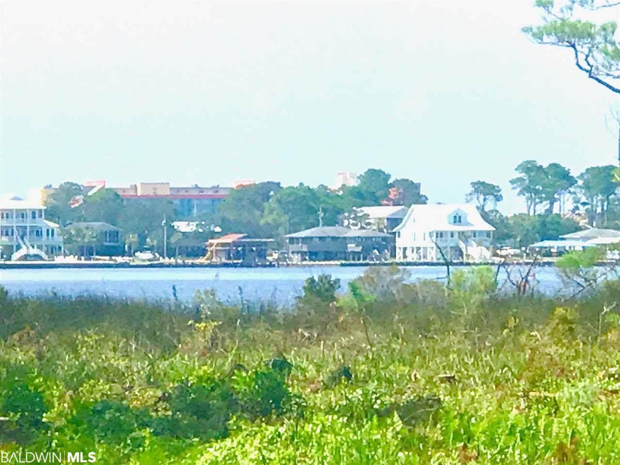 4 Fort Morgan Hwy - Photo 1