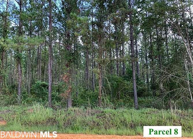 8 Booneville Road - Photo 1