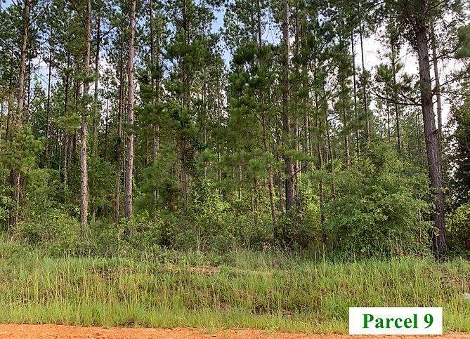 9 Booneville Road - Photo 1