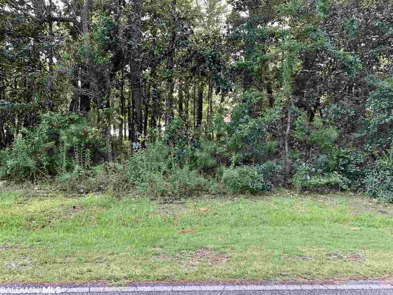 Lots 35 & 36 Beach Road - Photo 1