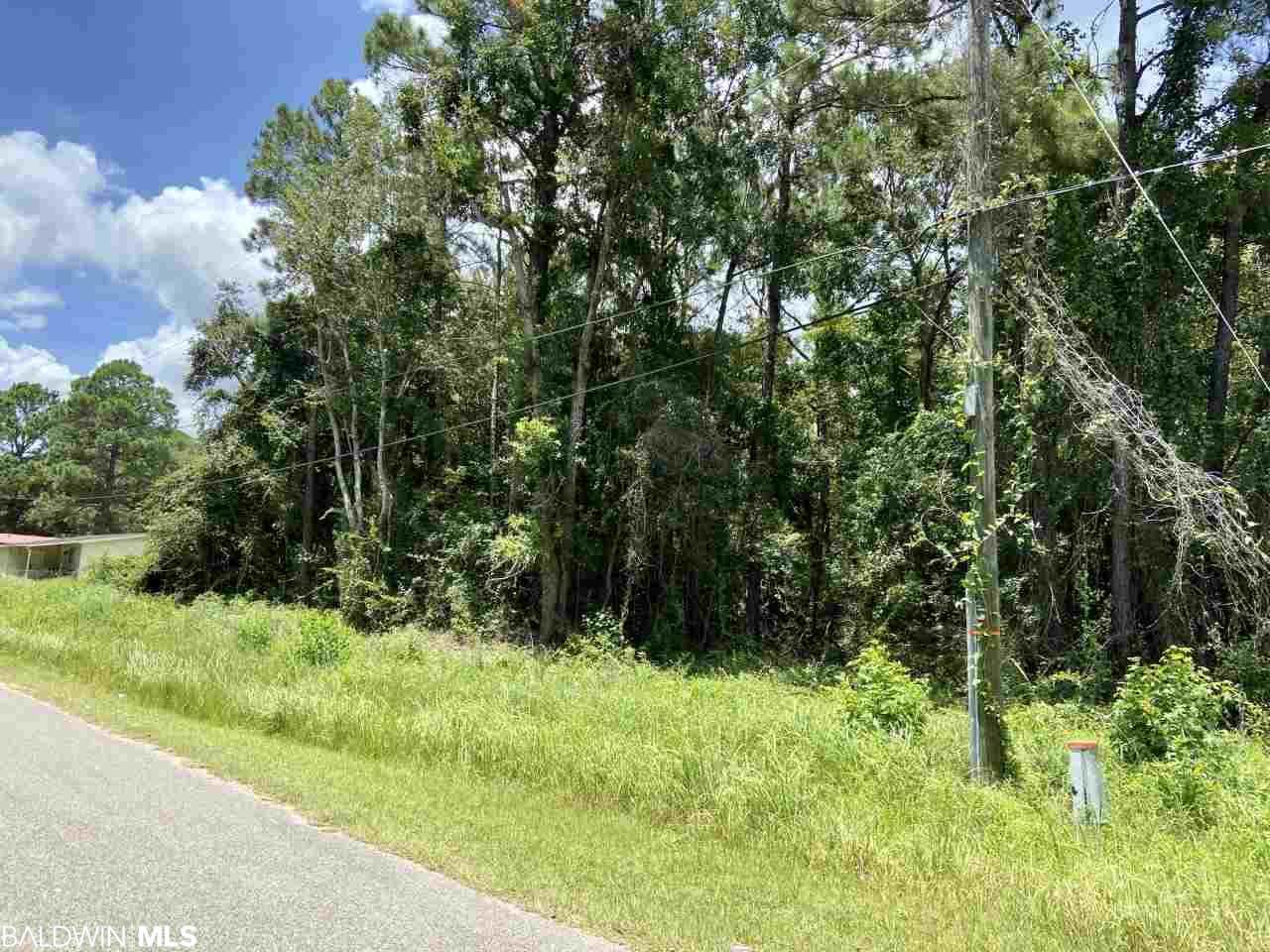 0 Dauphin Island Pkwy - Photo 1