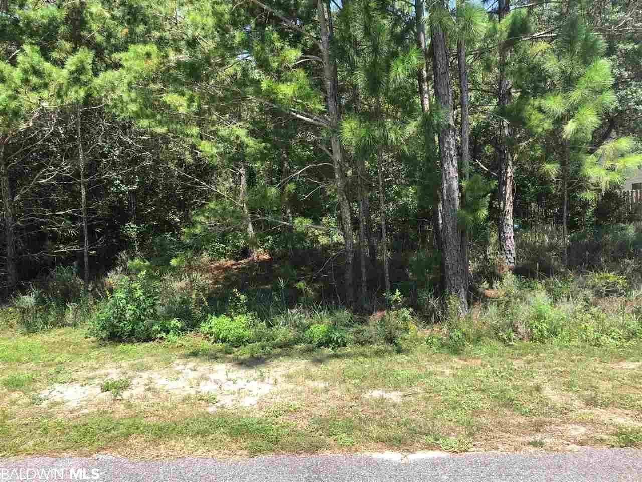 0 Terry Cove Drive - Photo 1