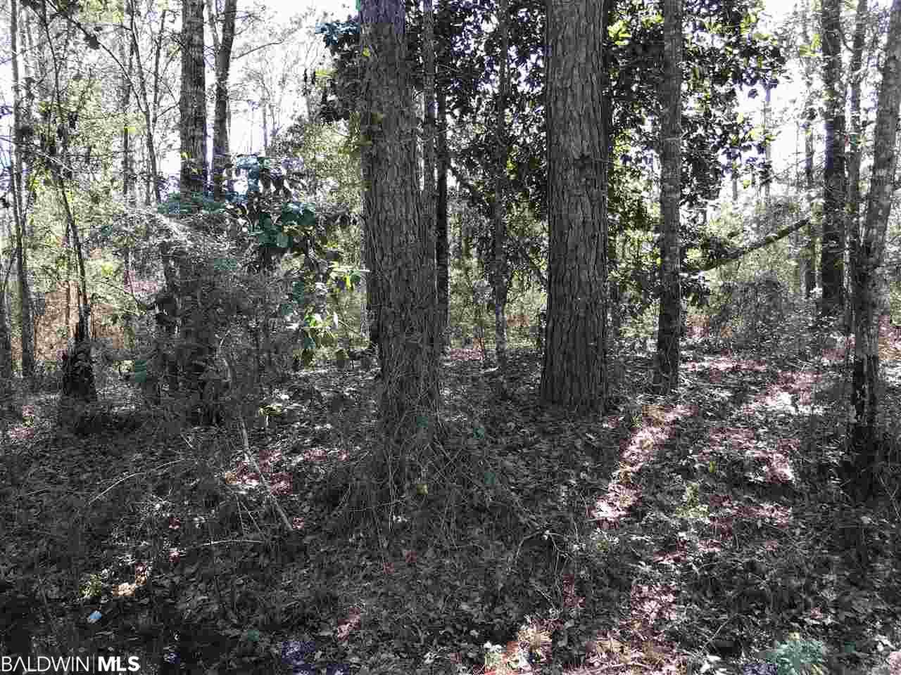 Bayou Circle - Photo 1