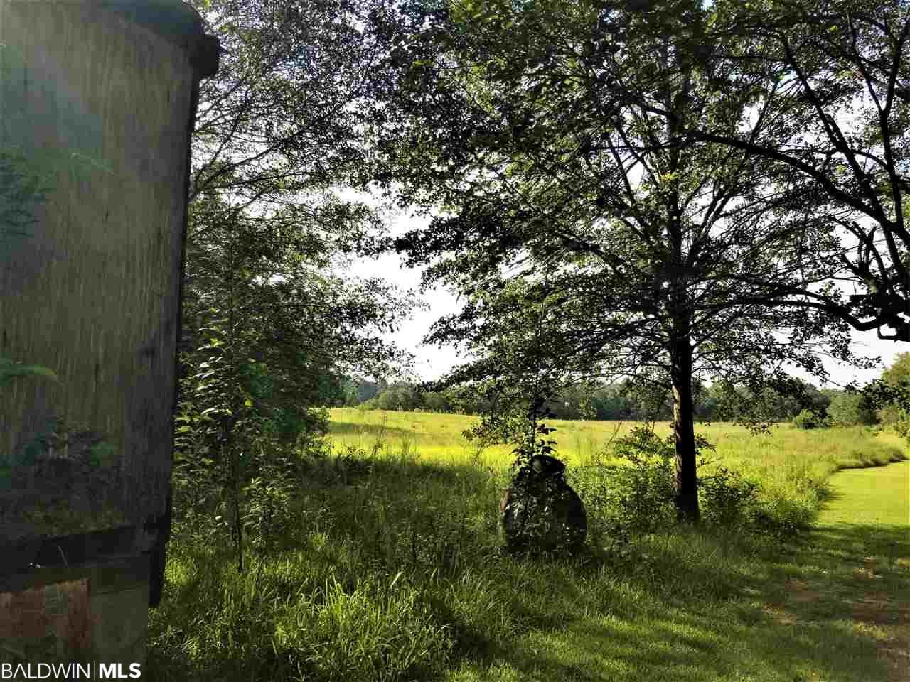 0 County Road 64 - Photo 1