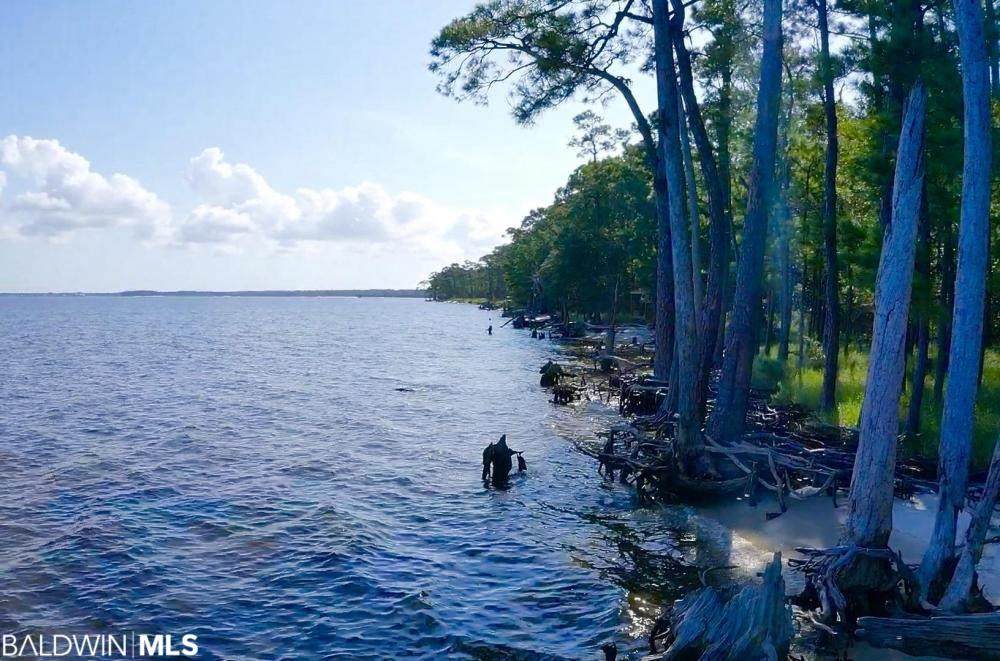0 Old Fort Morgan Trail - Photo 1