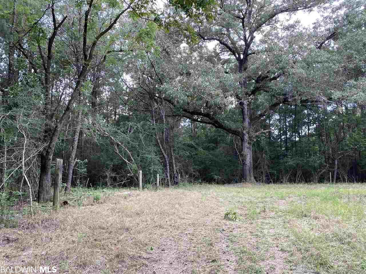 0 Highway 31 - Photo 1