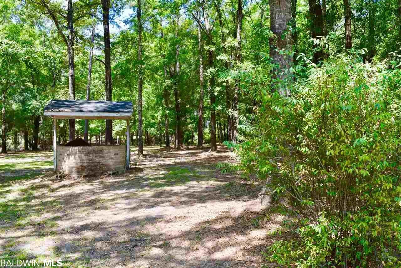 23124 County Road 62 - Photo 1