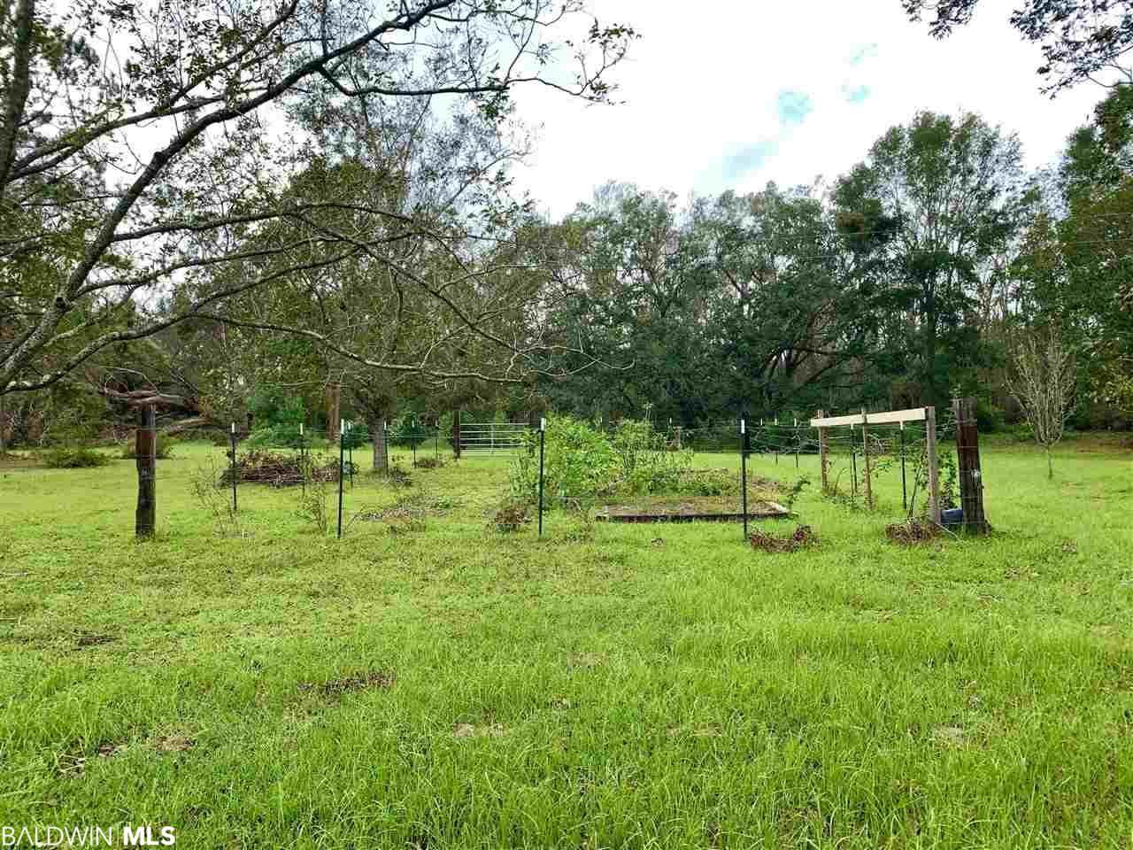 8781 County Road 11 - Photo 1