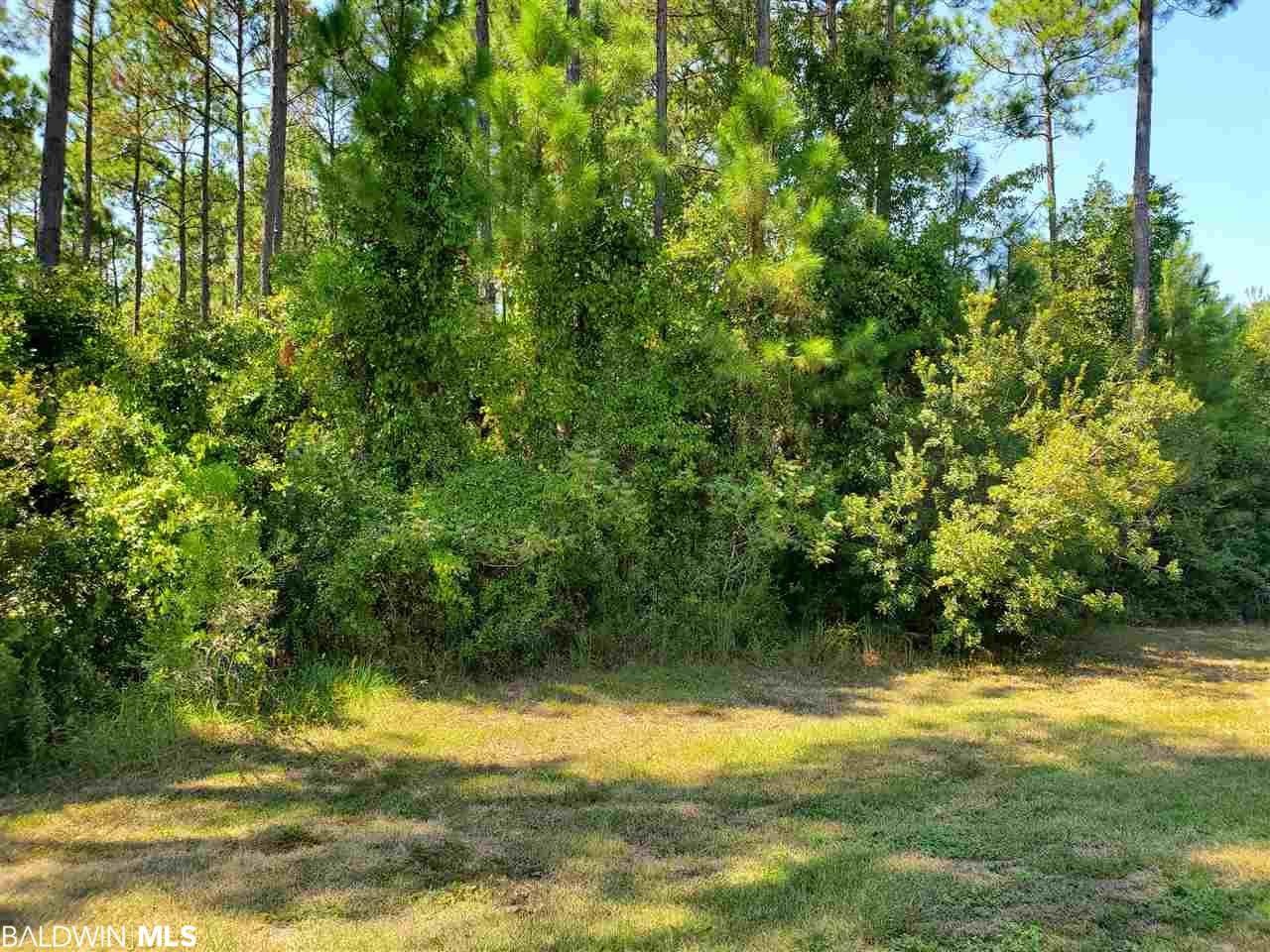 0 Mill House Rd - Photo 1