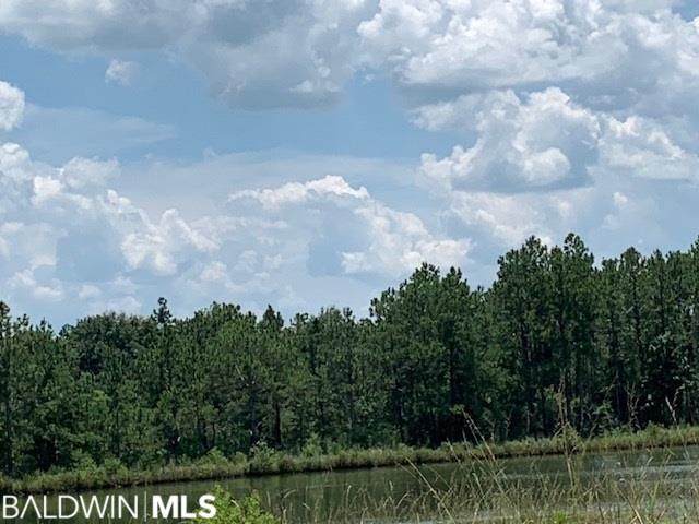 21330 County Road 68 - Photo 1