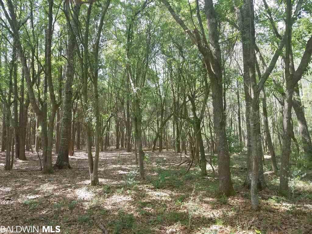 0 Gardner Rd - Photo 1