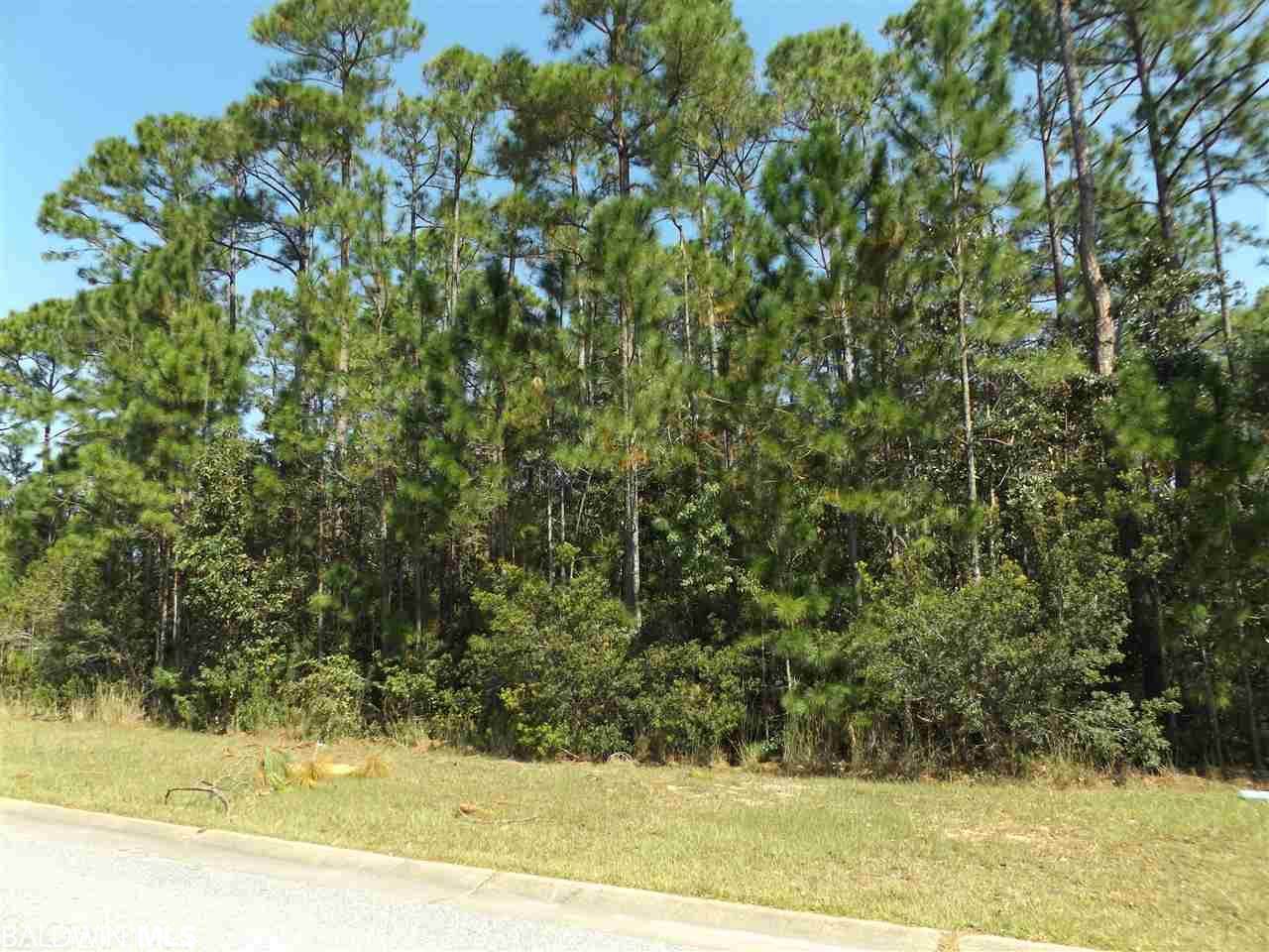 0 Wedgewood Drive - Photo 1