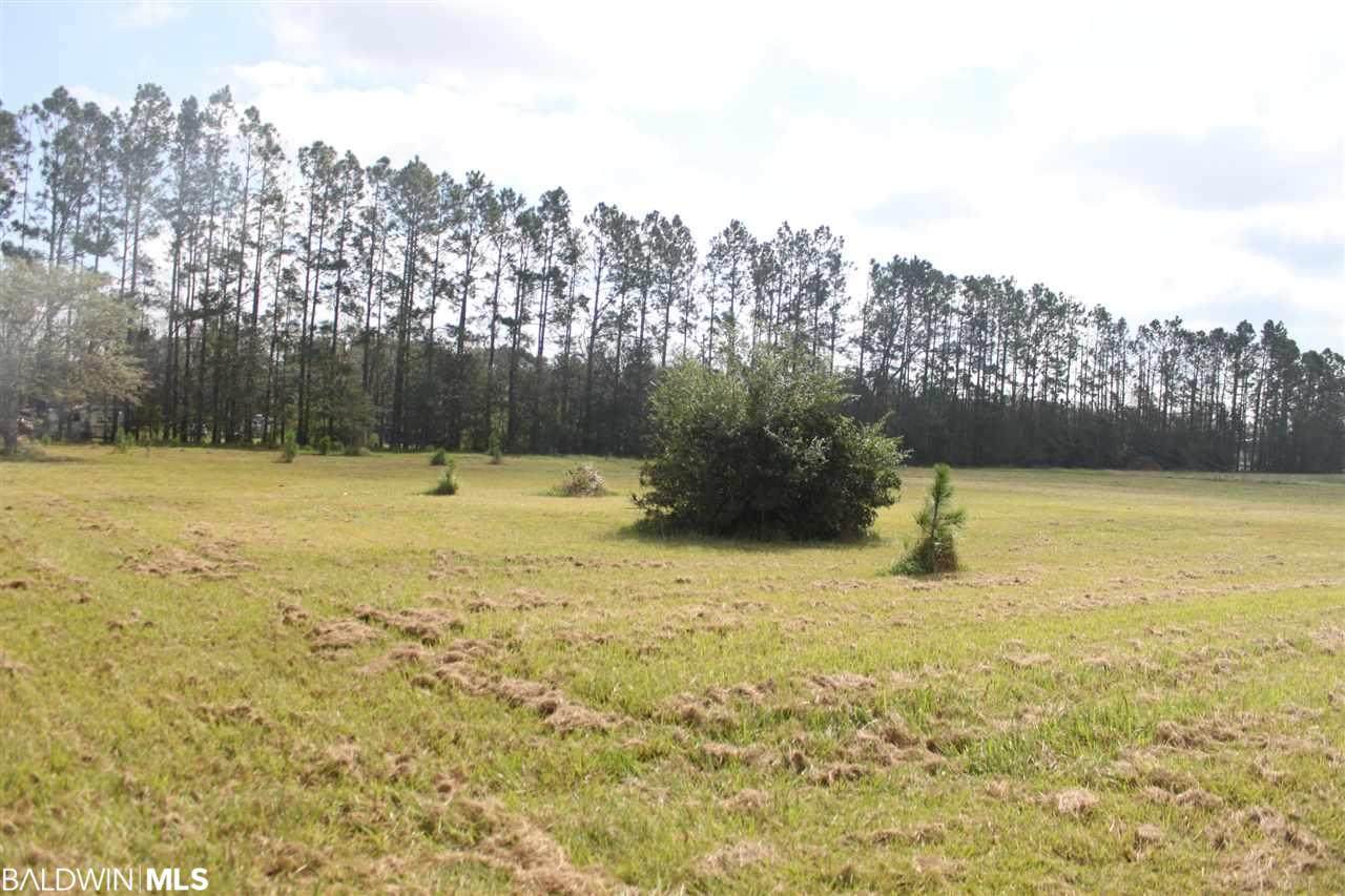 12660 Foley Beach Exp - Photo 1