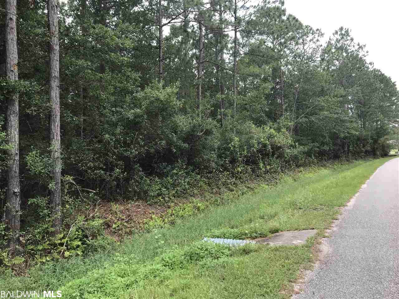 0 Bay Forest Drive - Photo 1