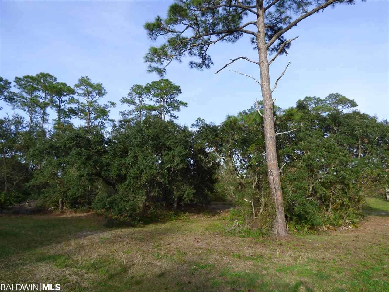 0 Pine Court - Photo 1
