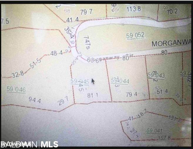 0 Morgan Way Cir - Photo 1