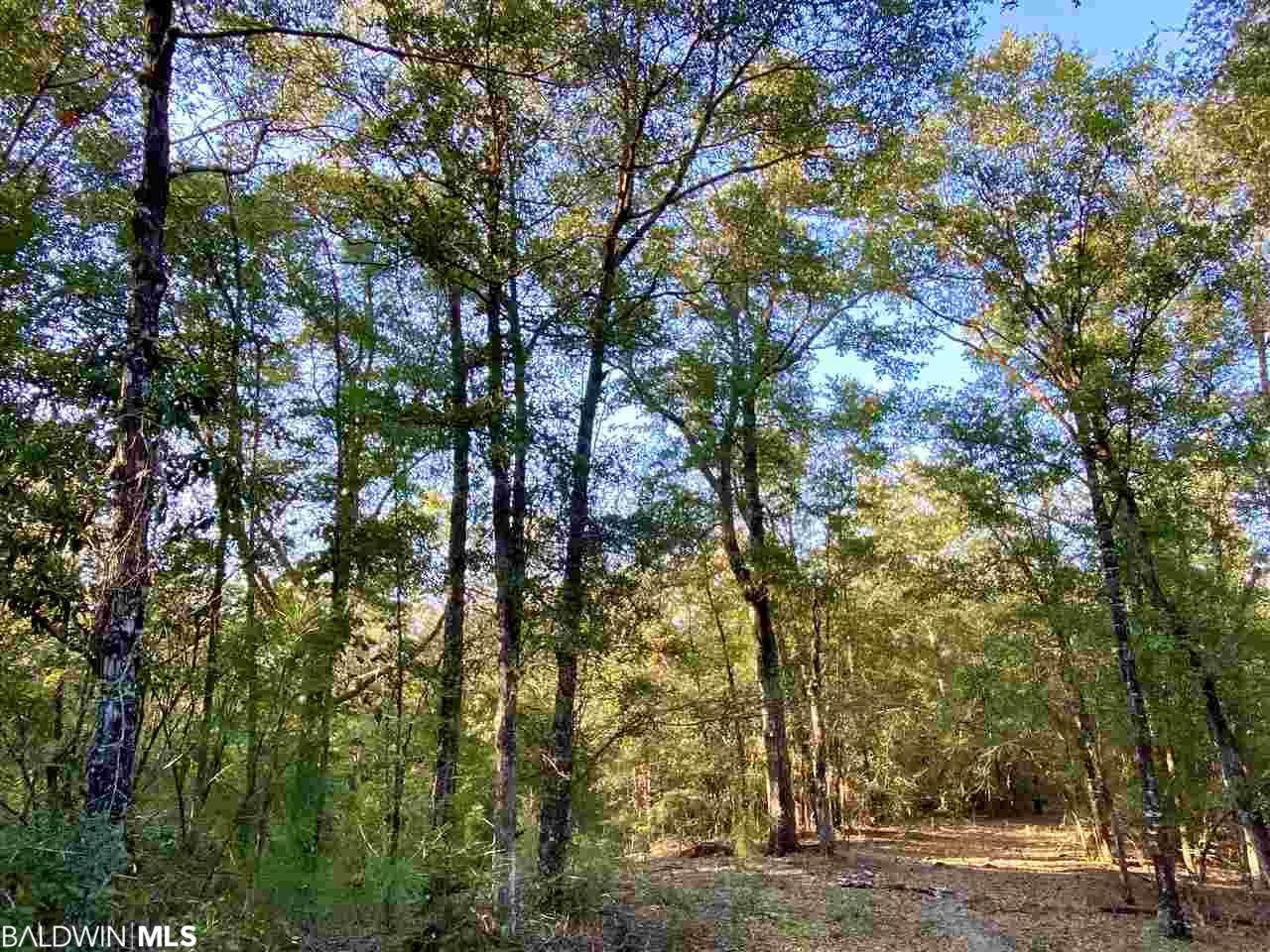 0 Chunchula Landfill Road - Photo 1