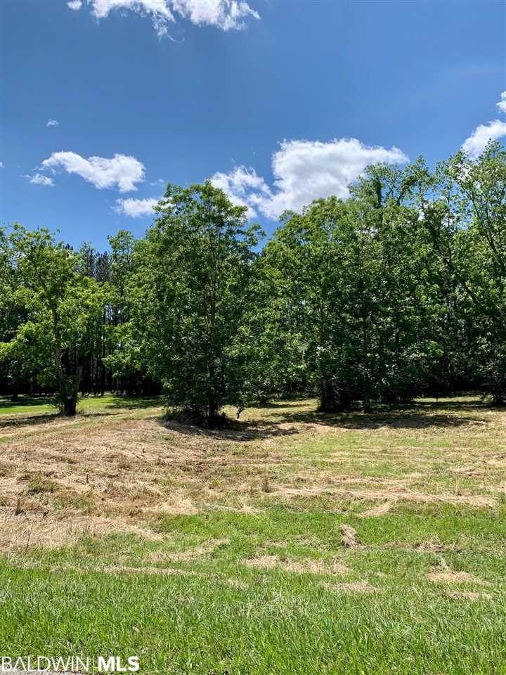 0 County Road 65 - Photo 1