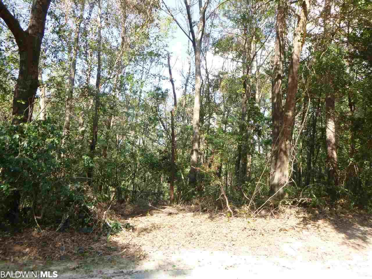 30471 D'olive Ridge - Photo 1