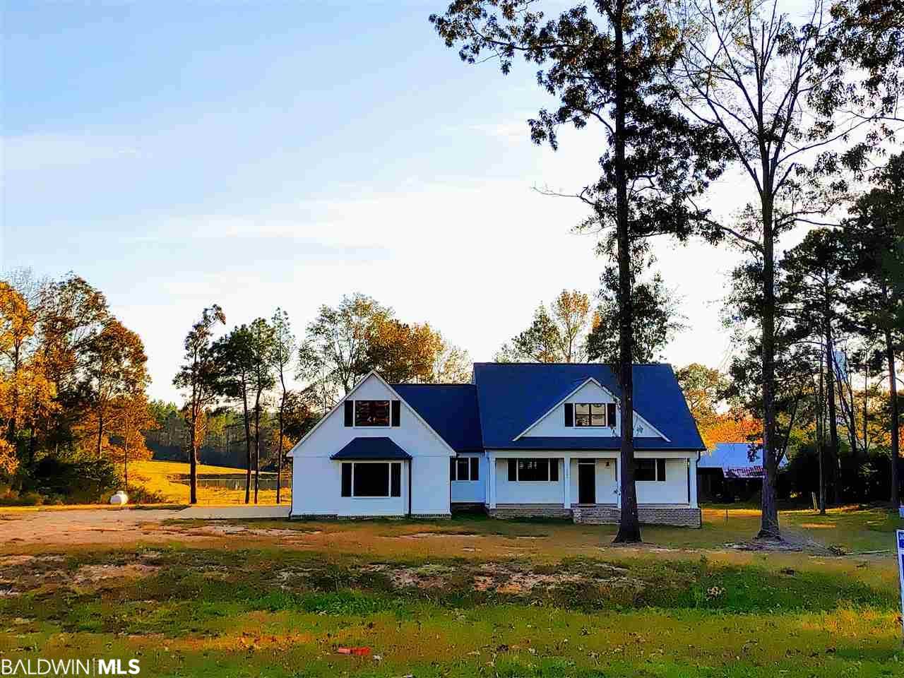 7245 Horace Odom Road - Photo 1