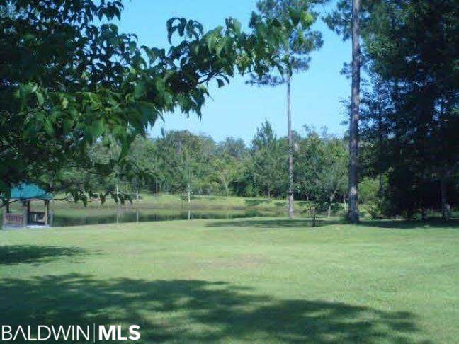 14610 Bishop Trace - Photo 1