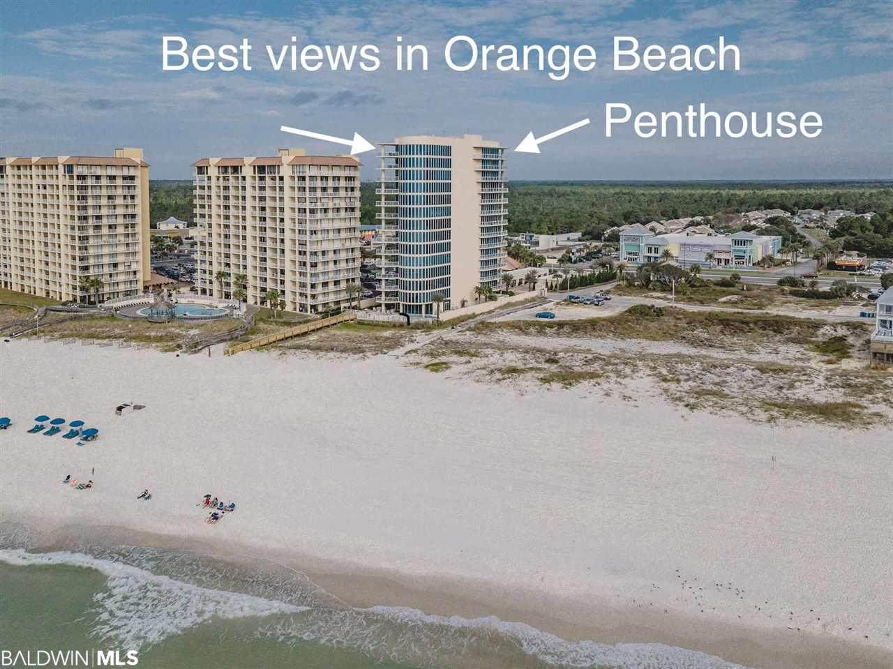 25040 Perdido Beach Blvd - Photo 1