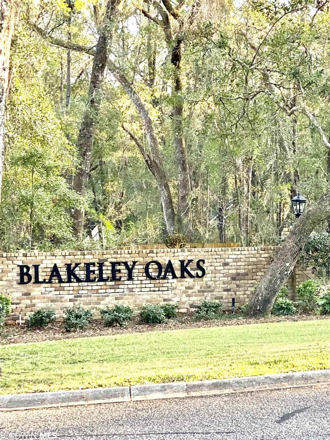 0 Blakeley Oaks Drive - Photo 1