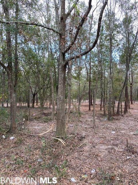 0 Old Pascagoula Rd - Photo 1