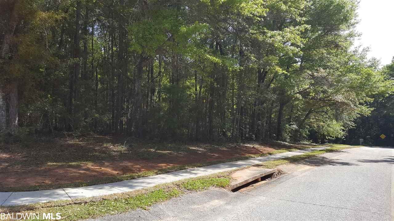 0 Pecan Drive - Photo 1