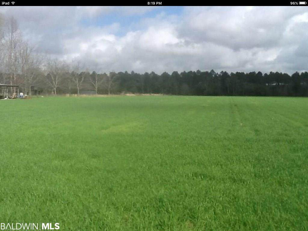Lot A Springsteen Ln - Photo 1