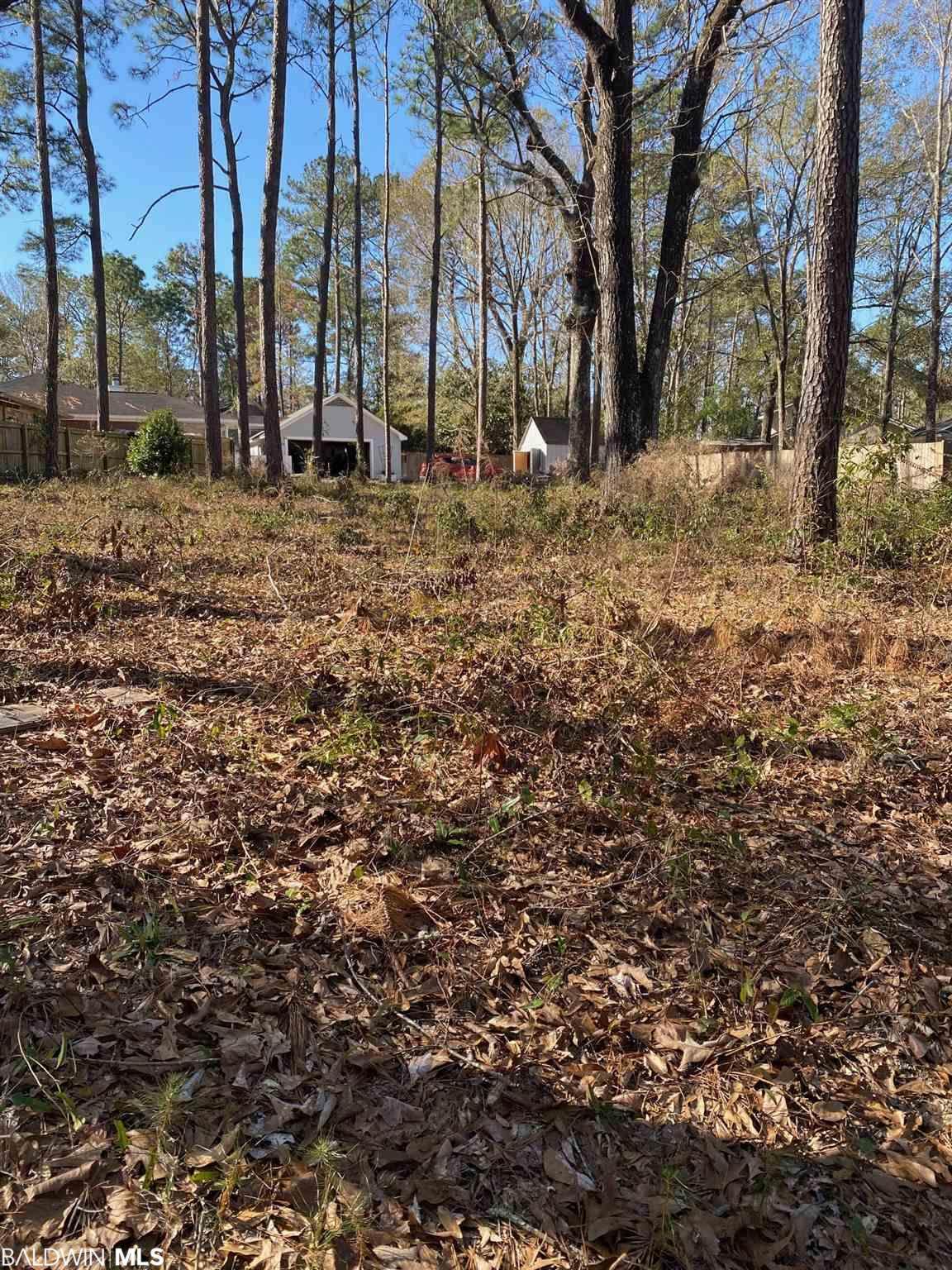 607 Ridgewood Drive - Photo 1