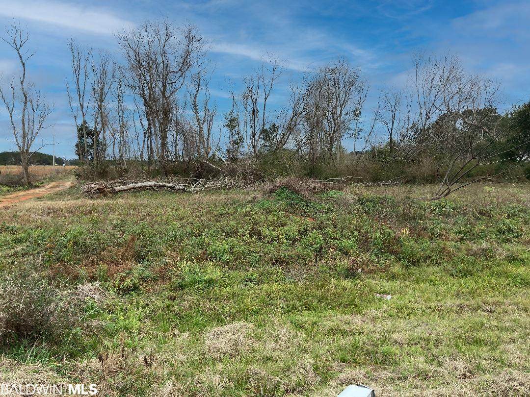 10180 County Road 95 - Photo 1