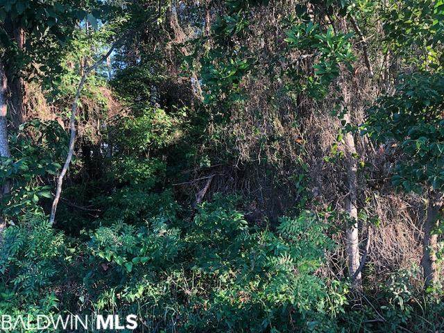 0 Browns Landing Road - Photo 1