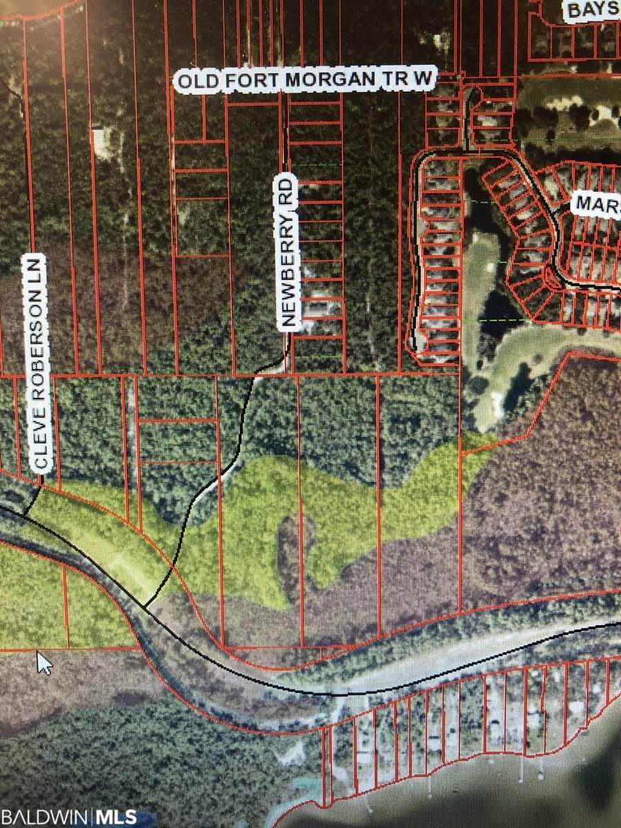 0 Fort Morgan Hwy - Photo 1