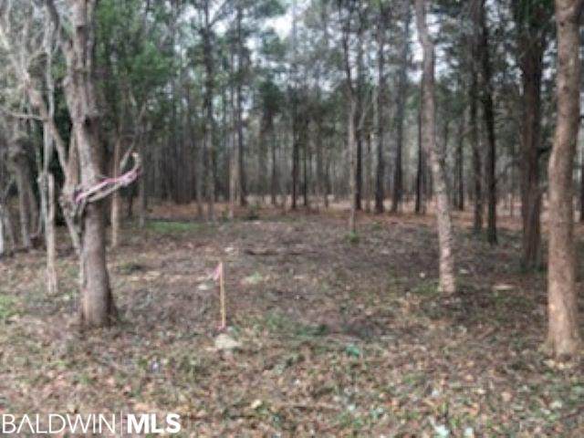 0 Cole Drive - Photo 1