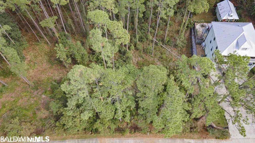 14048 Scenic Highway 98 - Photo 1