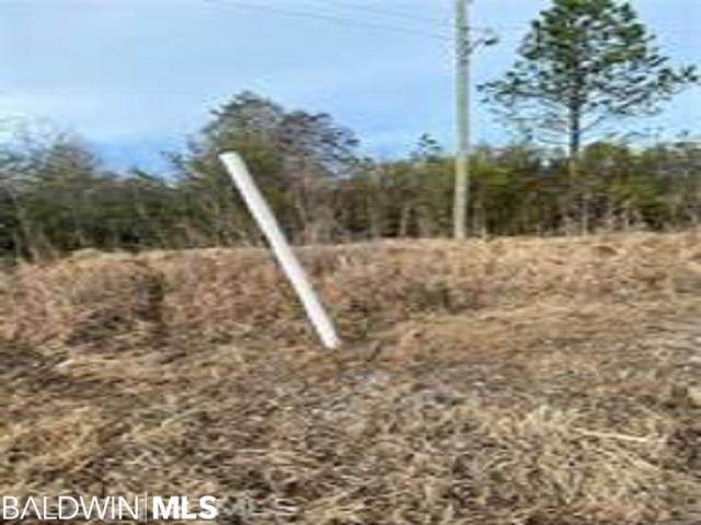 0 C C Trail - Photo 1