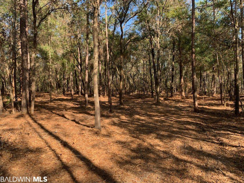 0 Forest View Lane - Photo 1