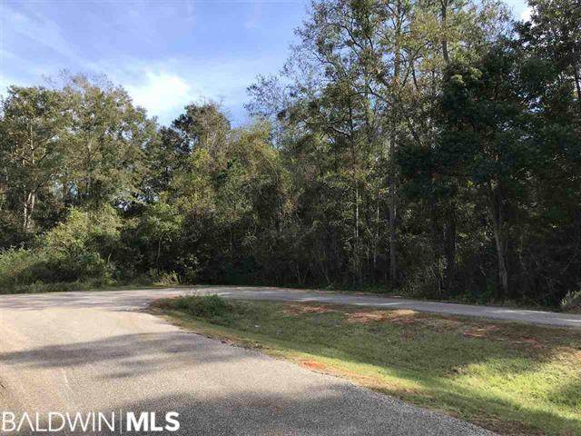 0 Resnik Dr - Photo 1