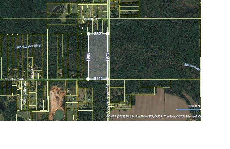 0 County Road 38 - Photo 1