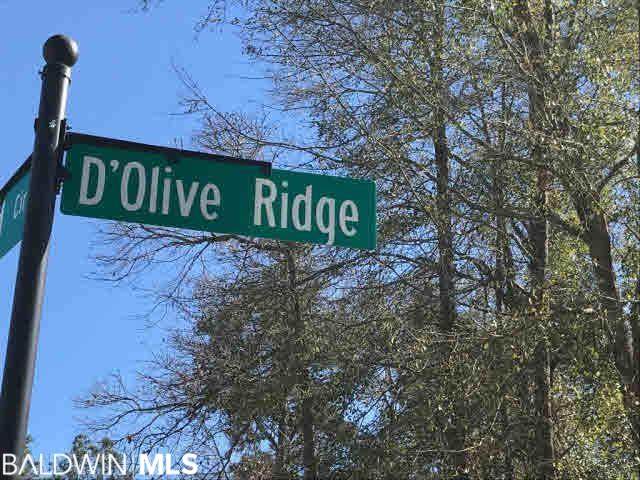 29910 D'olive Ridge - Photo 1