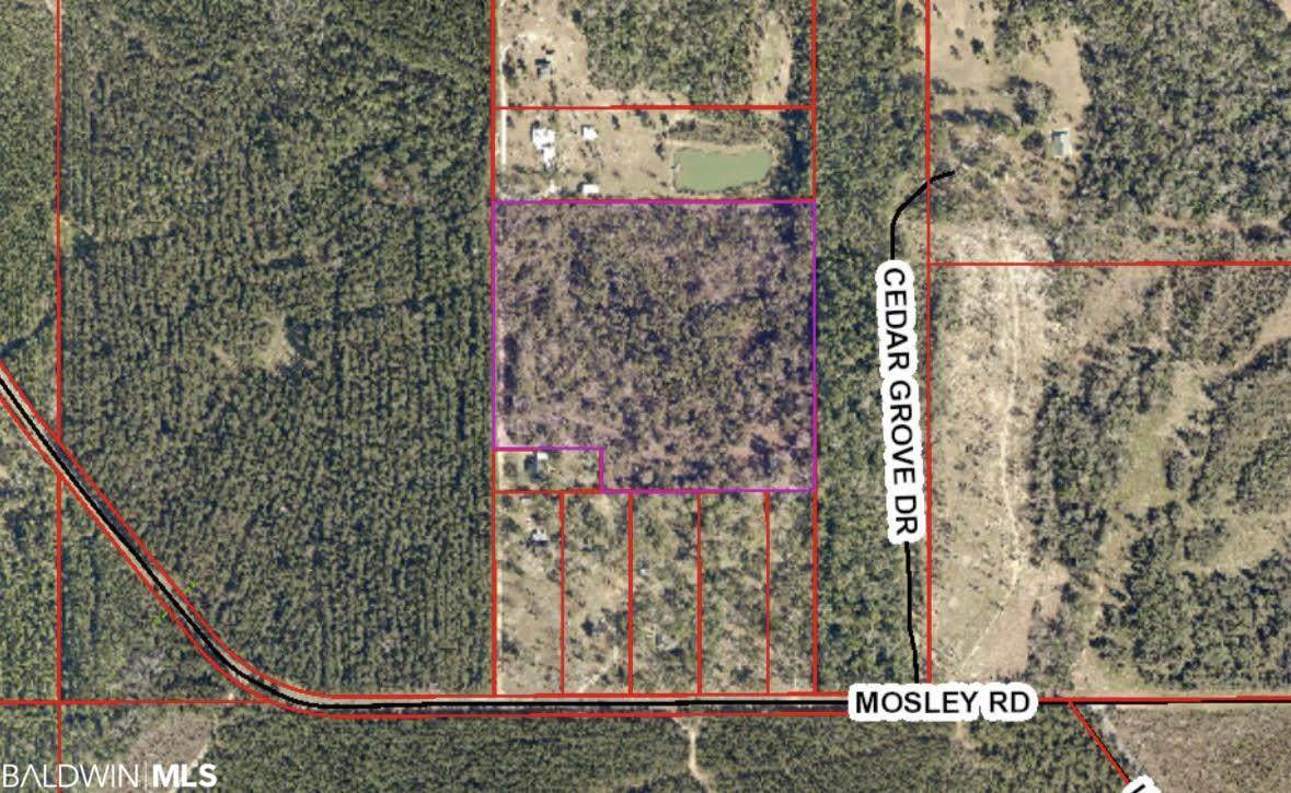 16431 Mosley Road - Photo 1