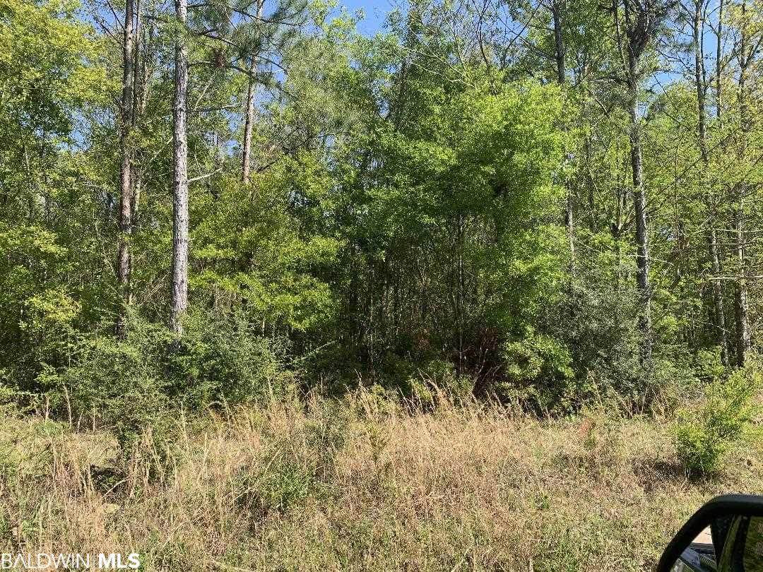 29200 County Road 68 Ext - Photo 1