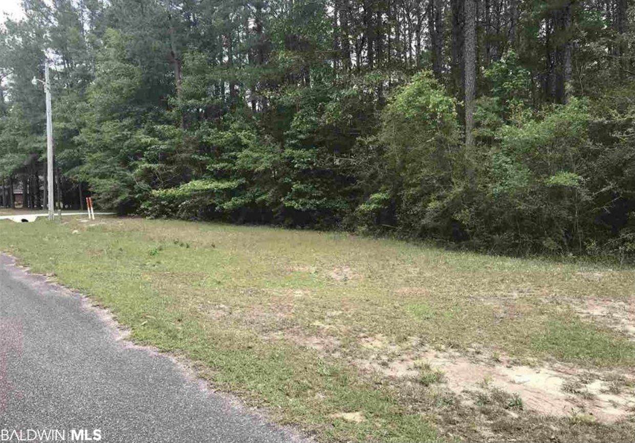 0 Flat Creek Drive - Photo 1