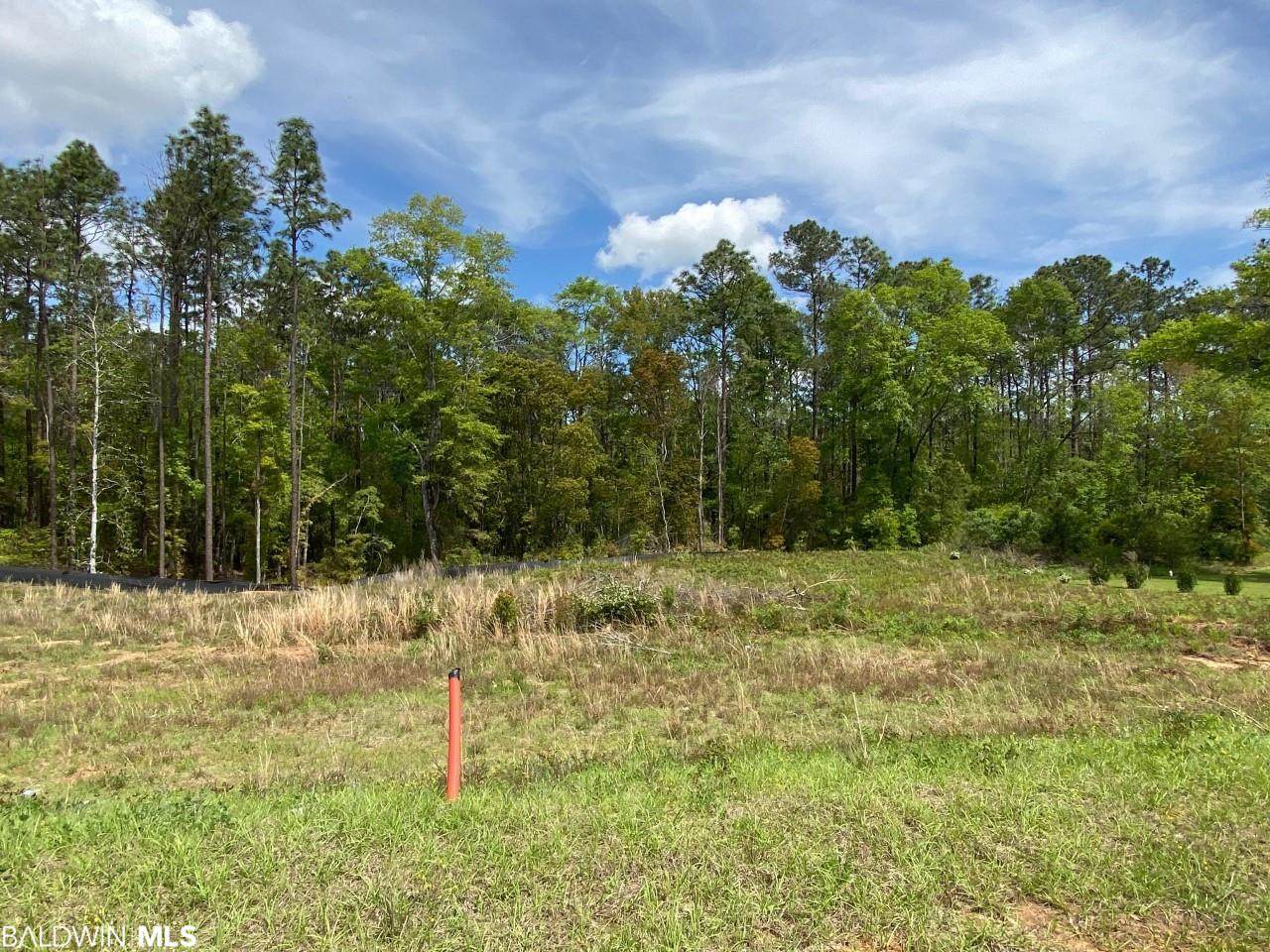 0 French Settlement Drive - Photo 1